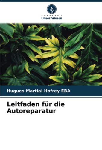 Leitfaden Für Die Autoreparatur