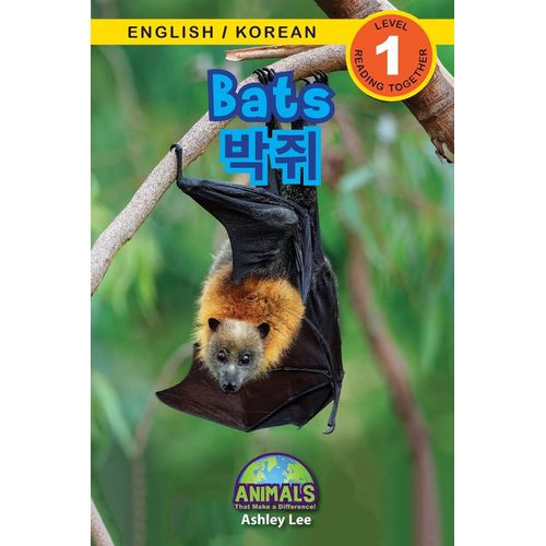 Bats / ¿¿