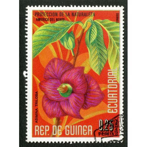 Timbre Oblitéré Rep. De Guinea Ecuatorial, Proteccion De La Naturaleza, America Del Norte, Asimina Triloba, 0.25 Peseta