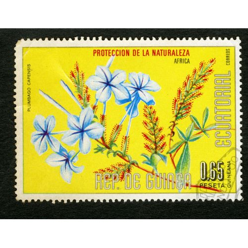 Timbre Oblitéré Rep. De Guinea Ecuatorial, Proteccion De La Naturaleza, Africa, Plumbago Capensis, 0.65 Peseta
