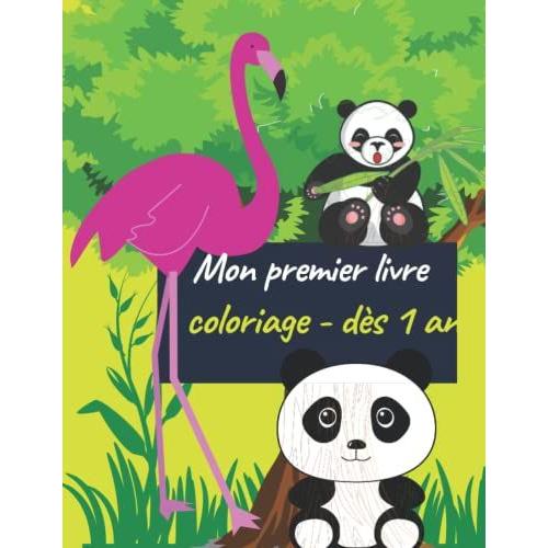 Mon Premier Livre De Coloriage - Dès 1 An: Cahier Coloriages Enfant À Partir De 12 Mois, Idée Cadeau Pour Tout-Petits(Fille Et Garçon)