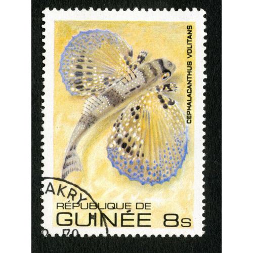 Timbre Oblitéré République De Guinée, Cephalacanthus Volitans, 8s