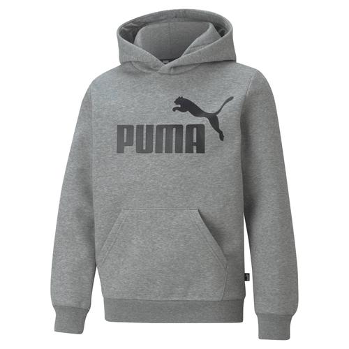 Puma Garçons Sweat À Capuche - Ess Big Logo Hoodie, Col Rond, Manches Longues, Uni, Cap Bleu 104