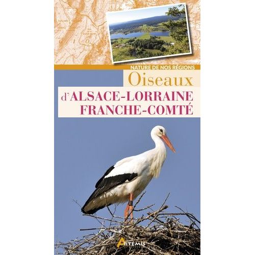 Oiseaux D'alsace-Lorraine Franche-Comté