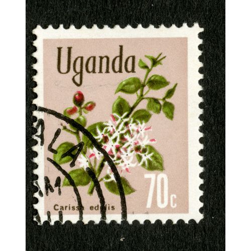 Timbre Oblitéré Uganda, Carissa Edulis, 70 C