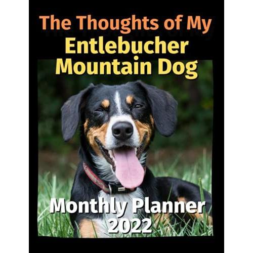 The Thoughts Of My Entlebucher Mountain Dog: Monthly Planner 2022