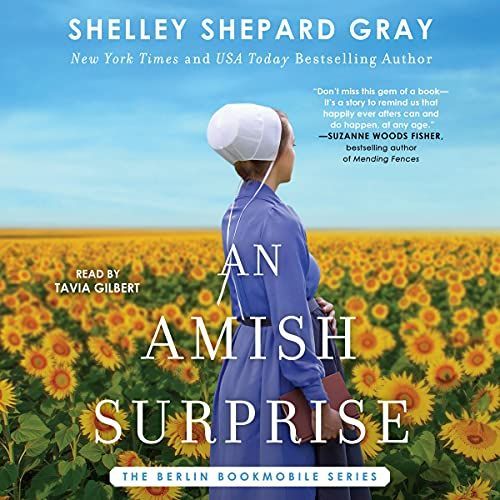 An Amish Surprise (Berlin Bookmobile)