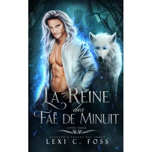 La Reine Des Faë De Minuit: Livre Trois