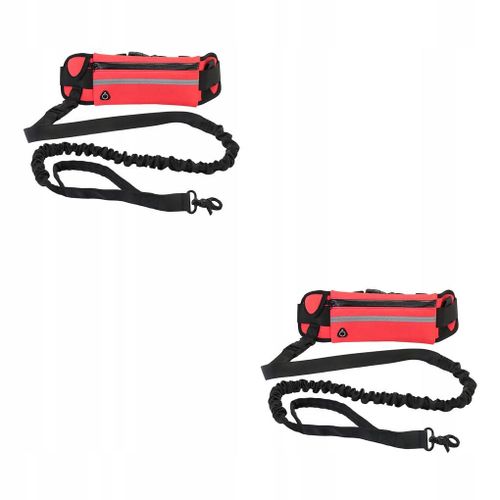 Lot De 2 Laisses Pour Chiens Fournitures Pour Animaux De Compagnie Chiot