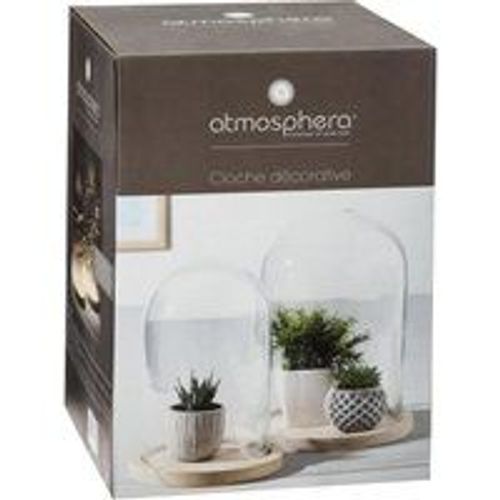 Cloche Verre Socle Bois