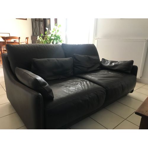 Canapé Cuir Roche Bobois