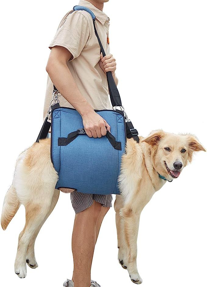 2XL, Bleu)Harnais de Transport pour Chien, Sac à Dos d'urgence pour Animaux  de Compagnie, Harnais de Levage pour Chien pour la Coupe des Ongles pour