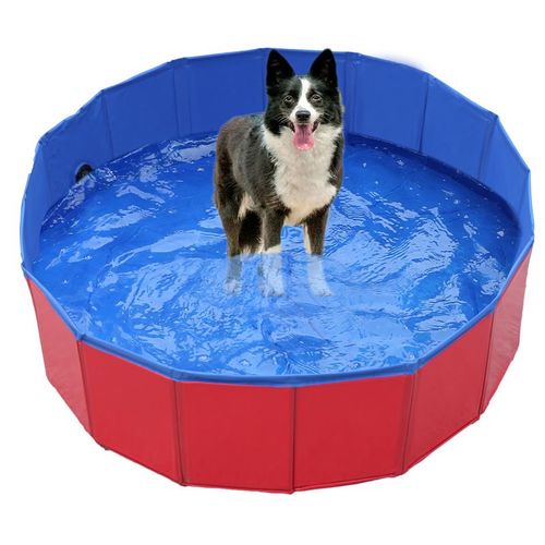 Piscine Pliable Pour Animaux Domestiques, Baignoire Pour Chiens, Bassin Pour Chiots, Chatons Et Chats, Convient Aussi Aux Enfants