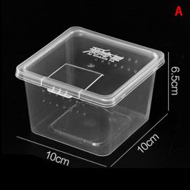 Bac D'élevage En Acrylique Transparent Pour Reptiles, 1 Pièce, Réservoir D'insecte, Araignées, Tortue, Lézard, Vivarium, Produit Pour Animaux De Compagnie