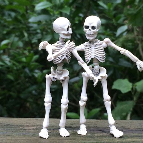 Mini Figurine De M. Os, Squelette Humain, Modèle De Crâne, Corps Complet, Jouet Amusant, Cadeau D'Halloween Pour Enfants, 1 Pièce