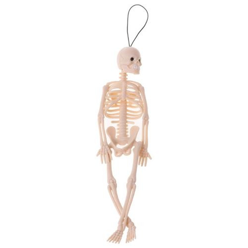 Mini Figurine Squelette, Modèle Humain, Corps Entier, Jouet, Cintre Pour Téléphone, Halloween, 1 Pièce