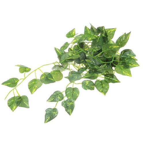 Vigne De Scindapsus Aureus Artificielle De 2m, 1/2 Pièces, Pour Les Reptiles, Terrarium, Caméléon, Lézard, Décor D'intérieur
