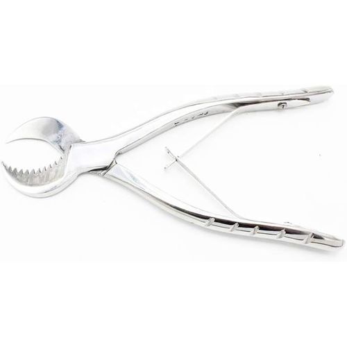 Pince Dentaire En Acier Inoxydable Pince À Plâtre Cutter Équipement De Laboratoire De Dentiste, Mâchoires En Corne De Vache, Lame Dentelée, Action À Ressort Par Hbmol (Petite)