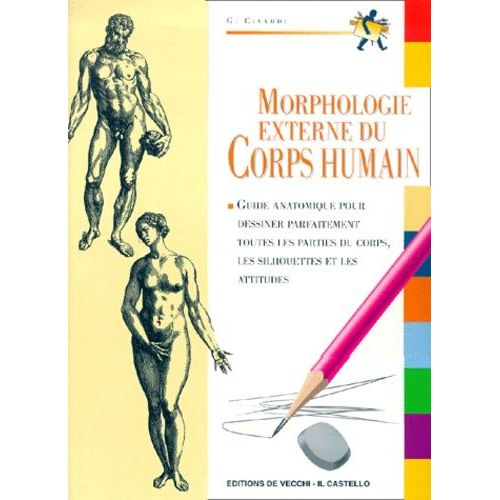 Morphologie Externe Du Corps Humain
