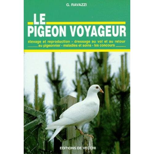 Le Pigeon Voyageur