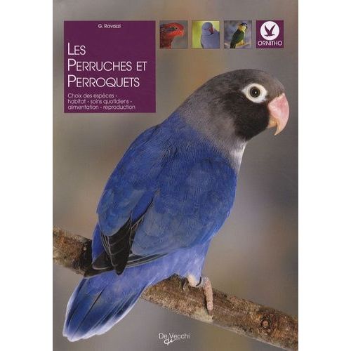Les Perruches Et Perroquets