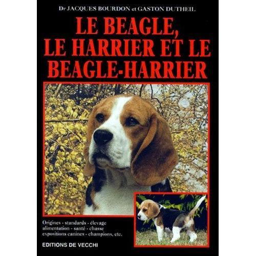 Le Beagle, Le Harrier Et Le Beagle-Harrier
