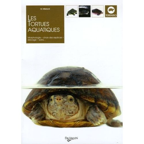 Les Tortues Aquatiques