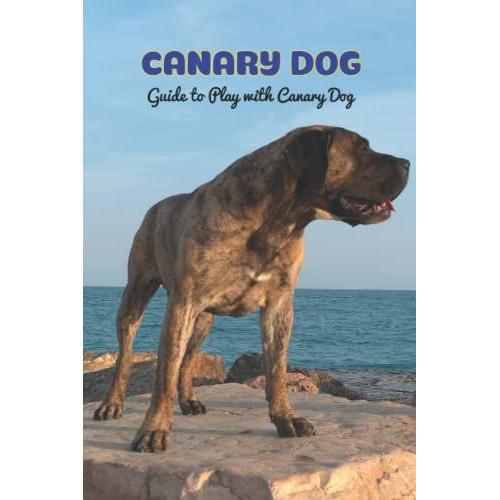 Canary Dog: Guide To Play With Canary Dog: Helpful Tips To Train Canary Dog