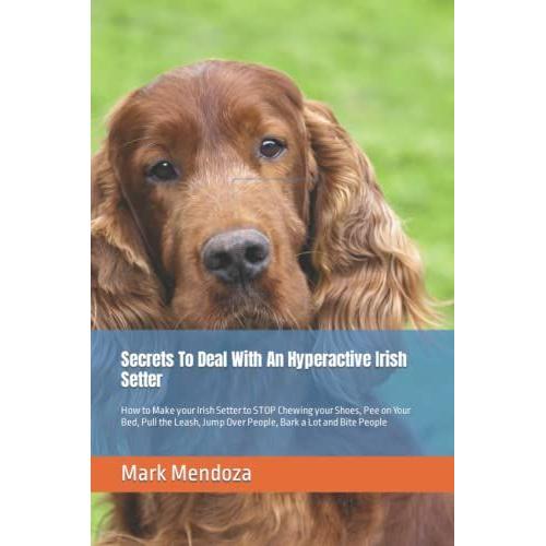 Secrets To Deal With An Hyperactive Irish Setter: How To Make Your Irish Setter To Stop Chewing Your Shoes, Pee On Your Bed, Pull The Leash, Jump Over People, Bark A Lot And Bite People