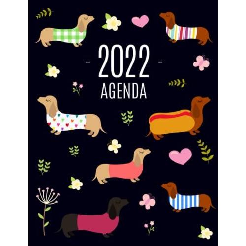 Dachshund Agenda 2022: Planificador Mensual Con Perro | Con Calendario Mensual 2022