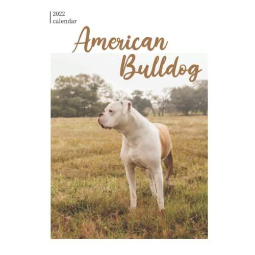 American Bulldog 2022 Calendar: 12-Month Calendar 2022 From Jan 2022 To Dec 2022 In Mini Size 8x6 Inch