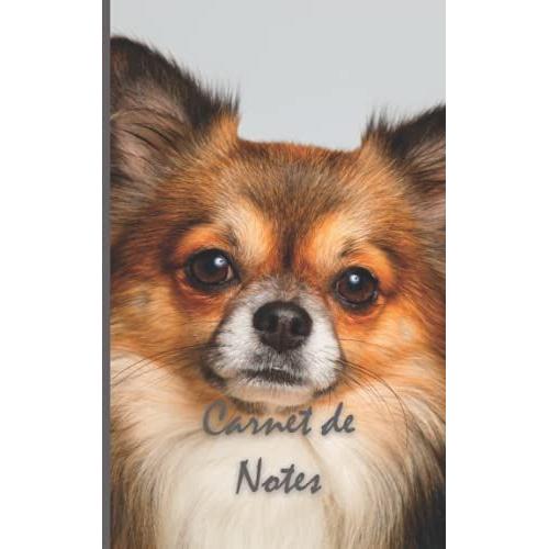 Carnet De Notes: Chiwawa - Chiens & Chiots - Nos Animaux De Compagnie