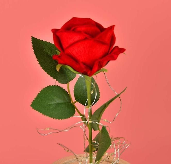 D�cor De Chambre, Veilleuse Rose - 5