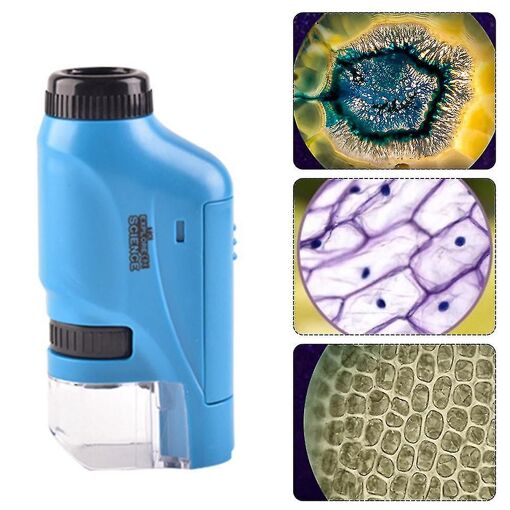 Microscope portatif 60-120x Microscope de poche Led Light Po...