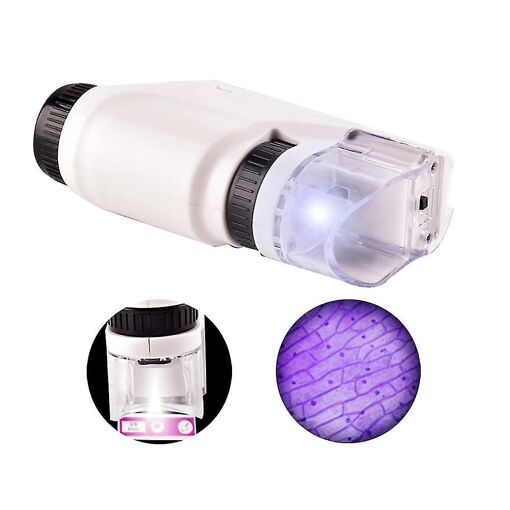 Microscope portatif 60-120x Microscope de poche Led Light Po... - 2