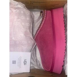 Ugg Tazz Mangosteen - 37