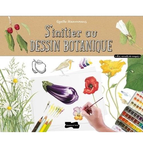 S'initier Au Dessin Botanique