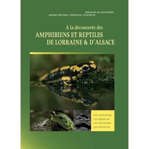 A La Découverte Des Amphibiens Et Reptiles De Lorraine & D'alsace