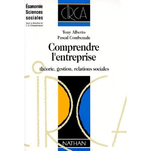 Comprendre L'entreprise - Theorie, Gestion, Relations Sociales
