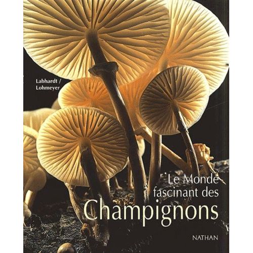 Le Monde Fascinant Des Champignons