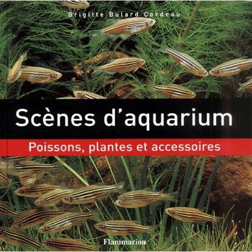 Scenes D'aquariums - Poissons, Plantes Et Accessoires