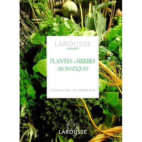 Plantes Et Herbes Aromatiques - Connaitre Et Preparer