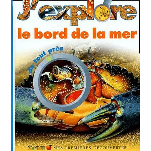 J'explore Le Bord De La Mer De Tout Pres