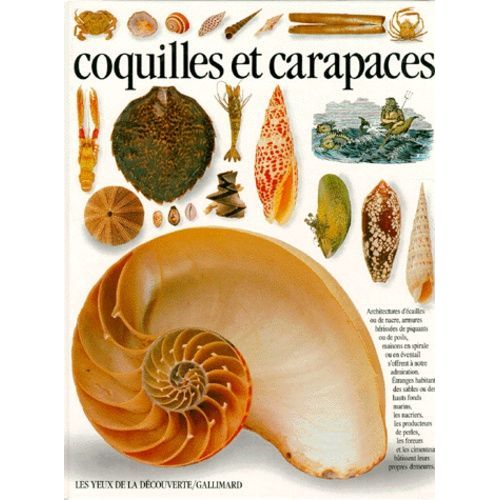 Coquilles Et Carapaces
