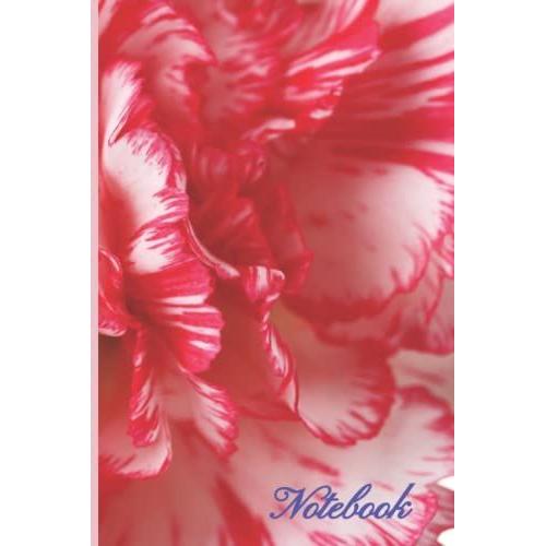 Flowery Notebook 6x9: Colorful Pink And White Single Flower Journal For Her, Sister, Teen Girls And Women | 150 Pages | 6x9 Blank Paper