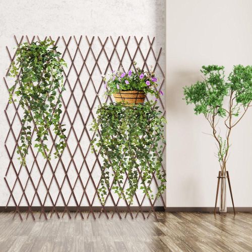 Cadre D'escalade Pour Plantes, Clôture En Bois, Support De Décoration De Fleurs En Treillis