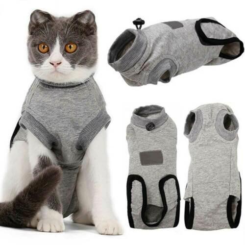 Combinaison Chirurgicale De Récupération Pour Animaux Domestiques, Pour Les Blessures Abdominales Du Chat, Les Maladies De La Peau, Accessoires Pour Chats, Soldes