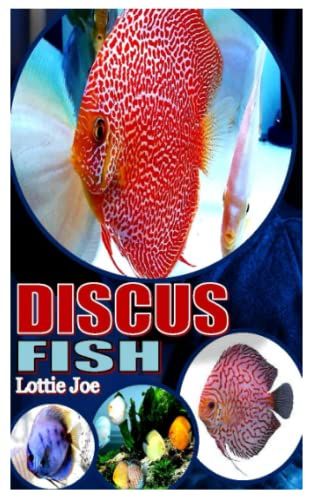 Discus Fish: Discus Fish Variation, Caring, Maintenance And How To Deal With Its Health Related Problems
