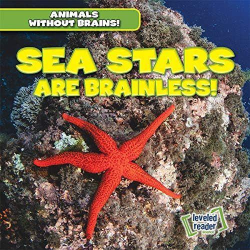 Sea Stars Are Brainless!