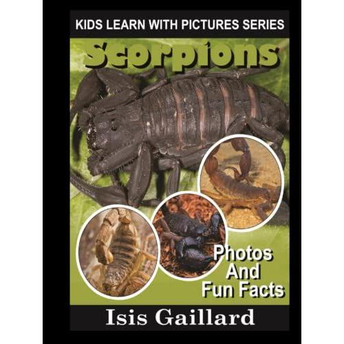 Scorpions: Photos And Fun Facts For Kids (Kids Learn With Pictures)